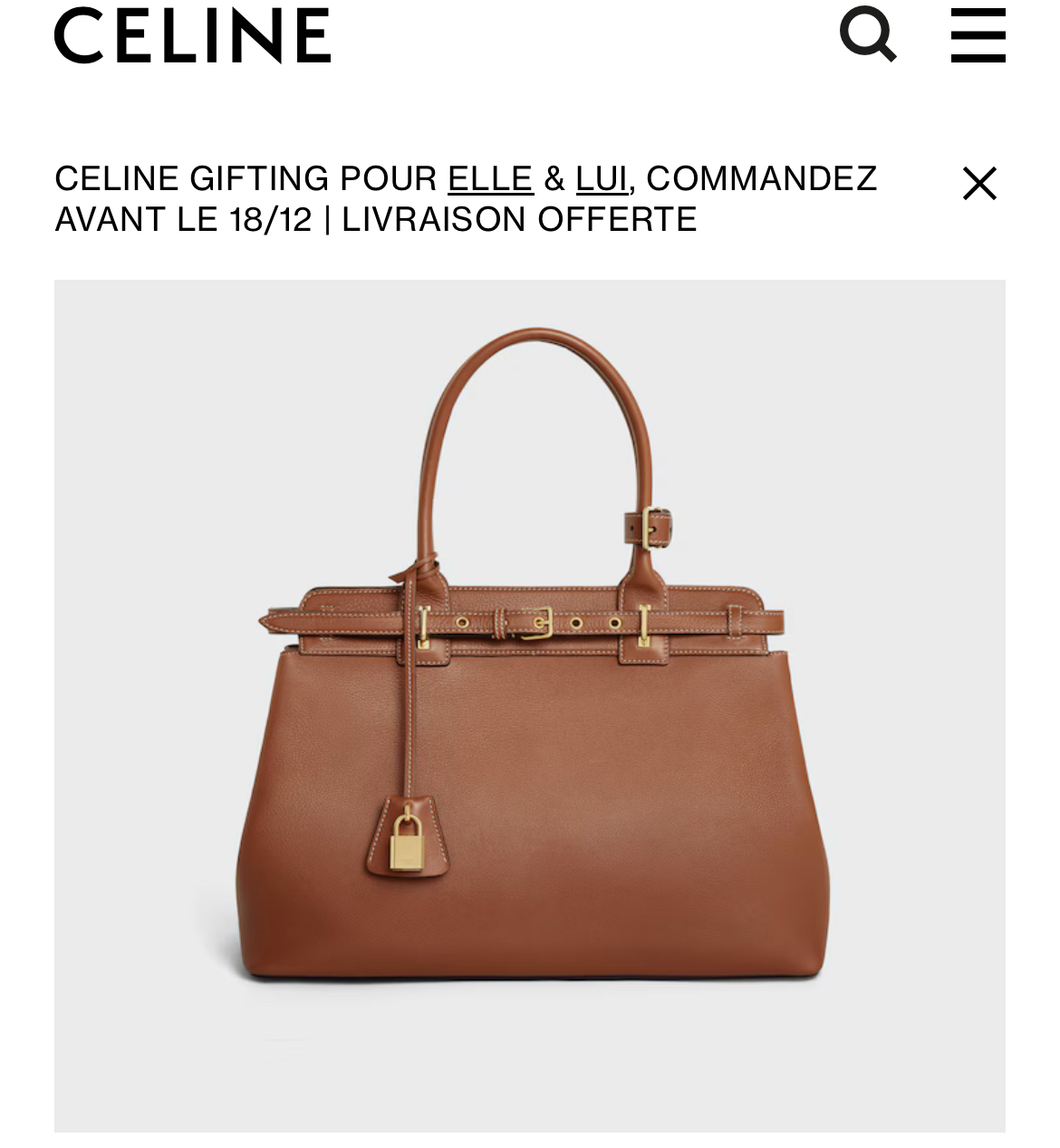 High-end fashion accessory